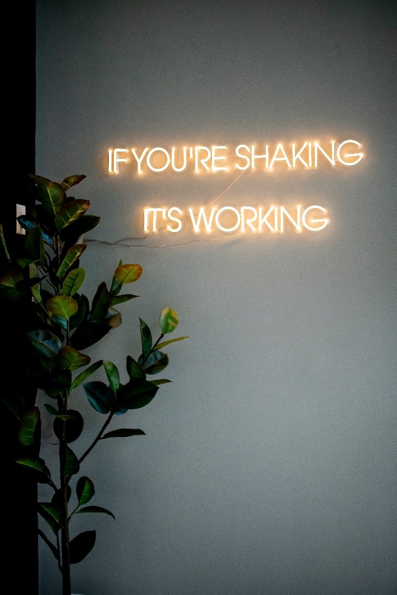 PureForm’s neon sign glowing on a studio wall beside a plant